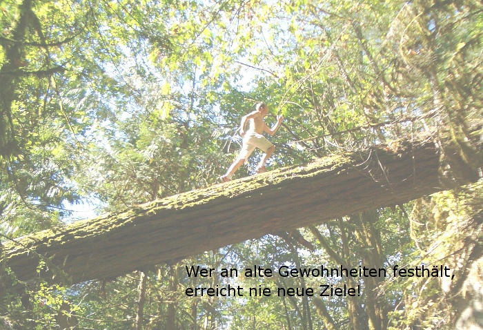 bernd_lauf_kanada_bearbeitet.jpg